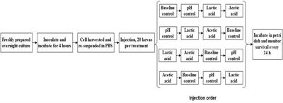 Organic Acid Exposure Enhances Virulence in Some Listeria monocytogenes Strains Using the Galleria mellonella Infection Model